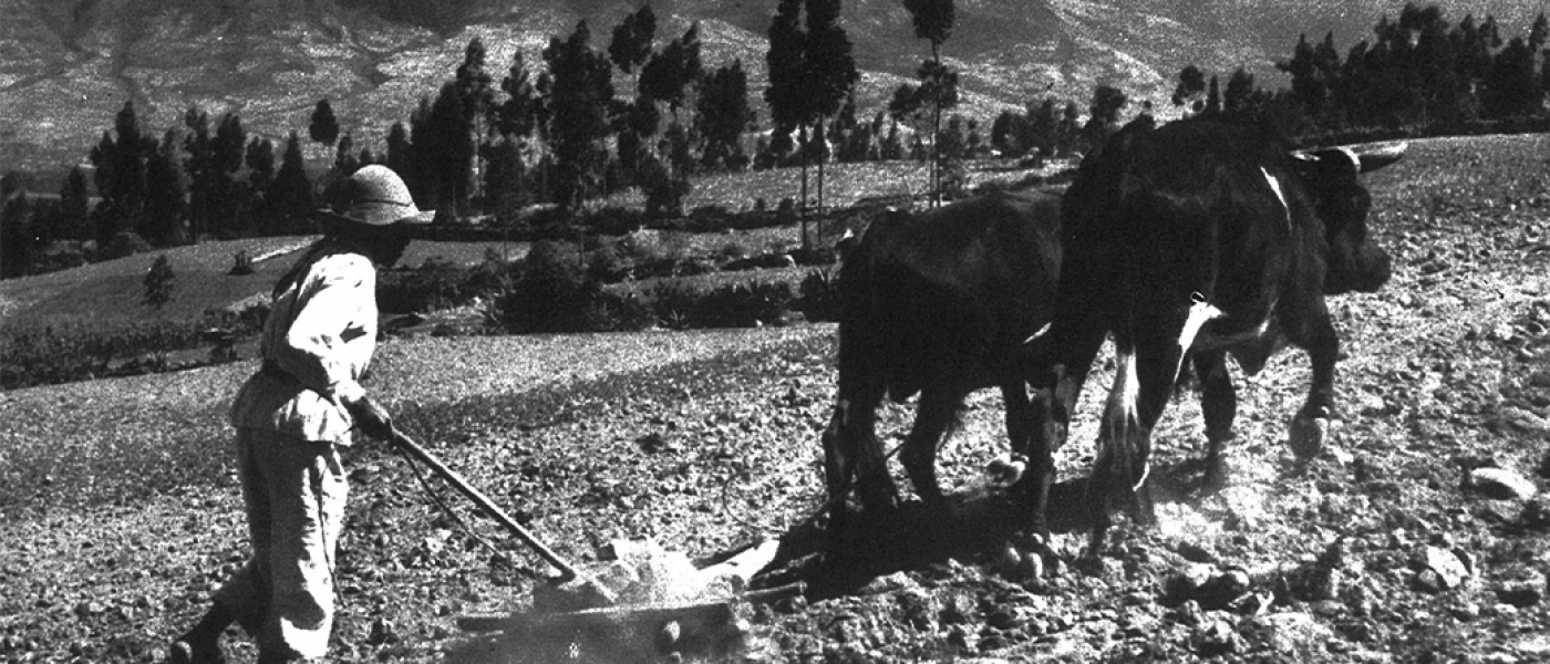 AGRICOLA 3