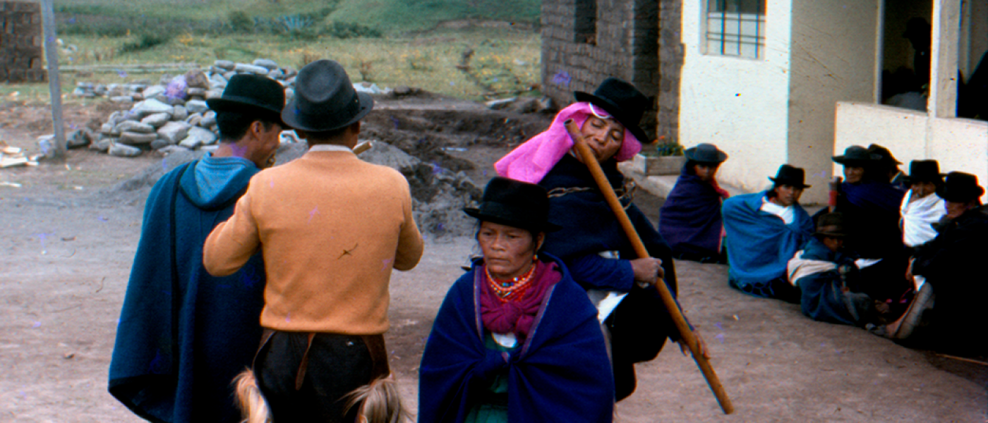 CAMPANEROS 4