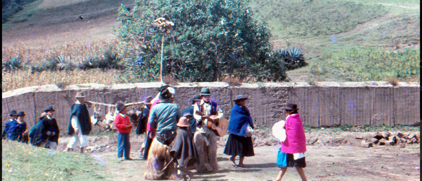 CAMPANEROS 5