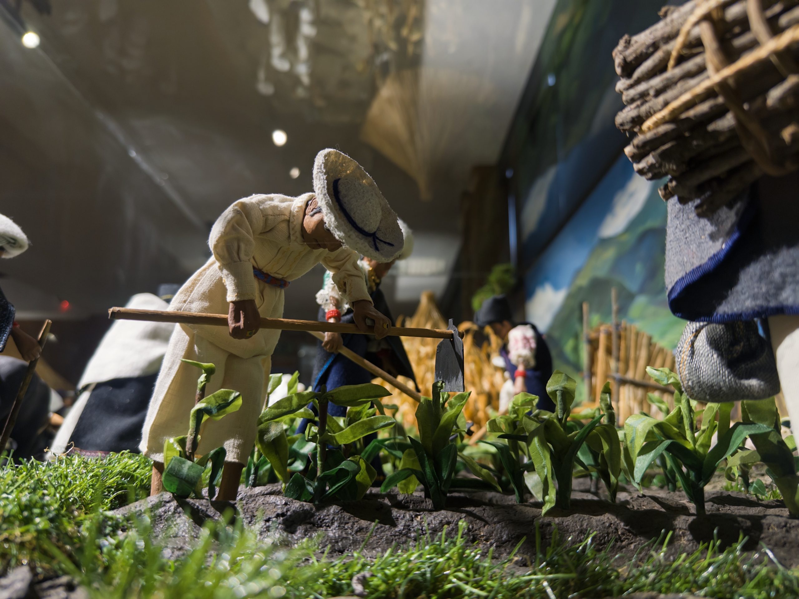 Ciclo agrícola